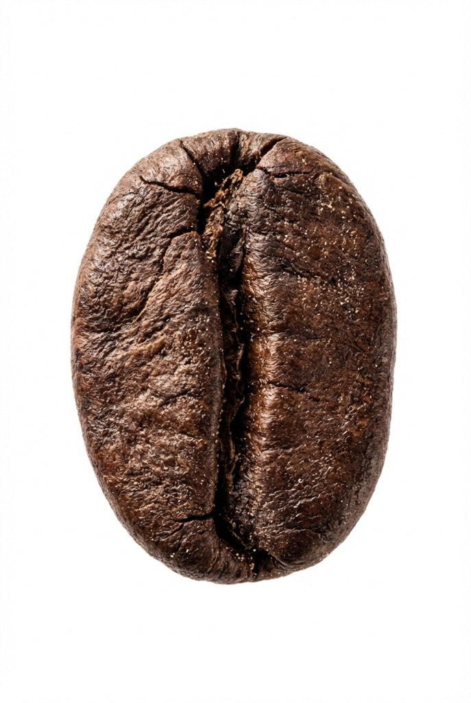 Premium Brazilian Arabica Coffee Beans